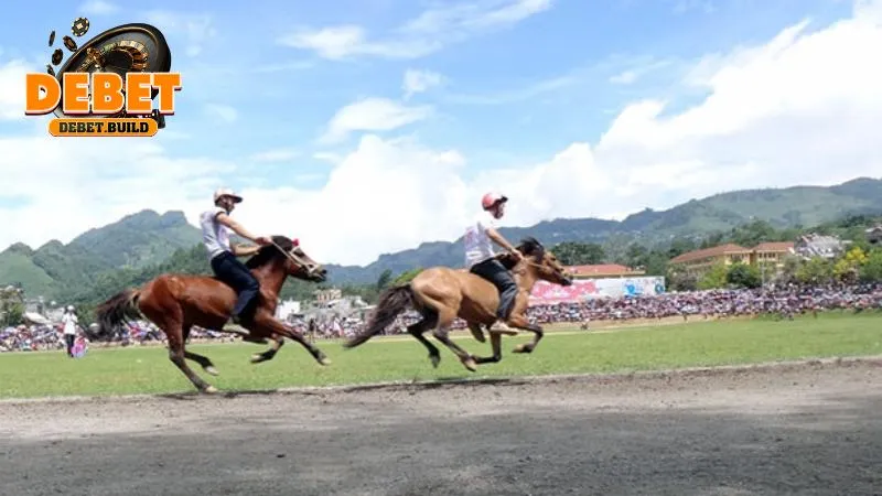 Phân tích kỹ lưỡng